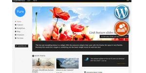 pure-responsive-wp-theme