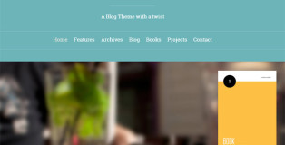 WordPress Responsive Theme for Book Writers