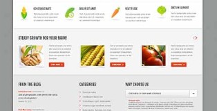 WordPress Responsive Theme for Agriculture Company