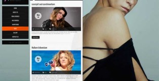 WordPress Responsive Theme for Fashion Models