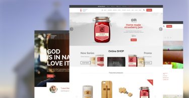 5+ Elegant Responsive WordPress themes for Church Website
